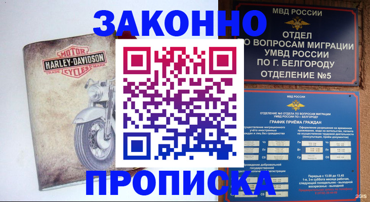 прописка для школы в Щёлкино